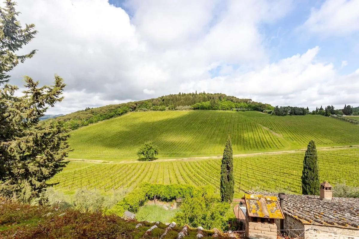 Chianti Essence Apartment Badia A Passigano 0*,